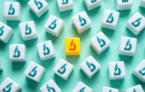 Maîtriser la prospection commerciale b2b pour des résultats durables