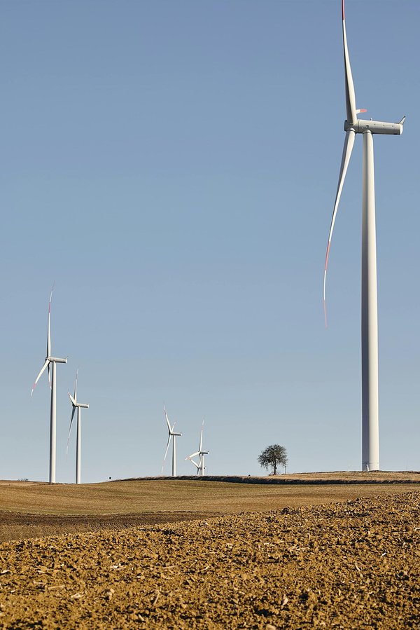 Ohm Énergie : des offres vertes à prix réduits pour tous